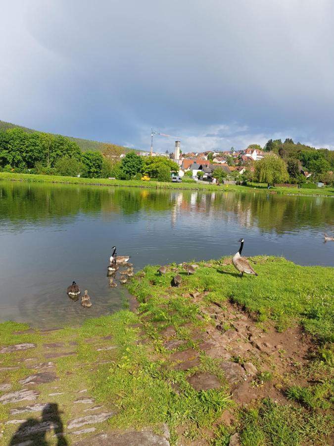 Ferienwohnung Im Springerhof Lohr Dış mekan fotoğraf